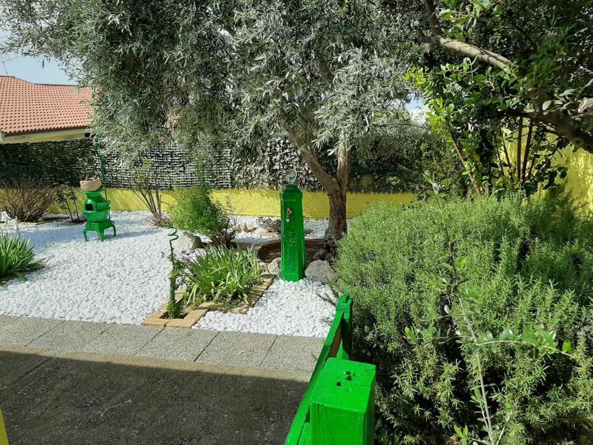 Artistika Golden Apartment Capitana Εξωτερικό φωτογραφία