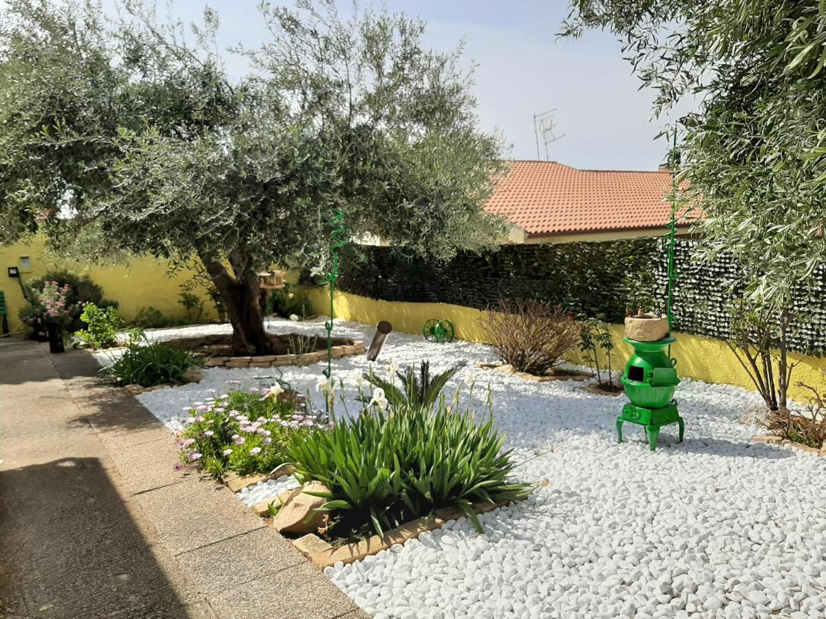 Artistika Golden Apartment Capitana Εξωτερικό φωτογραφία