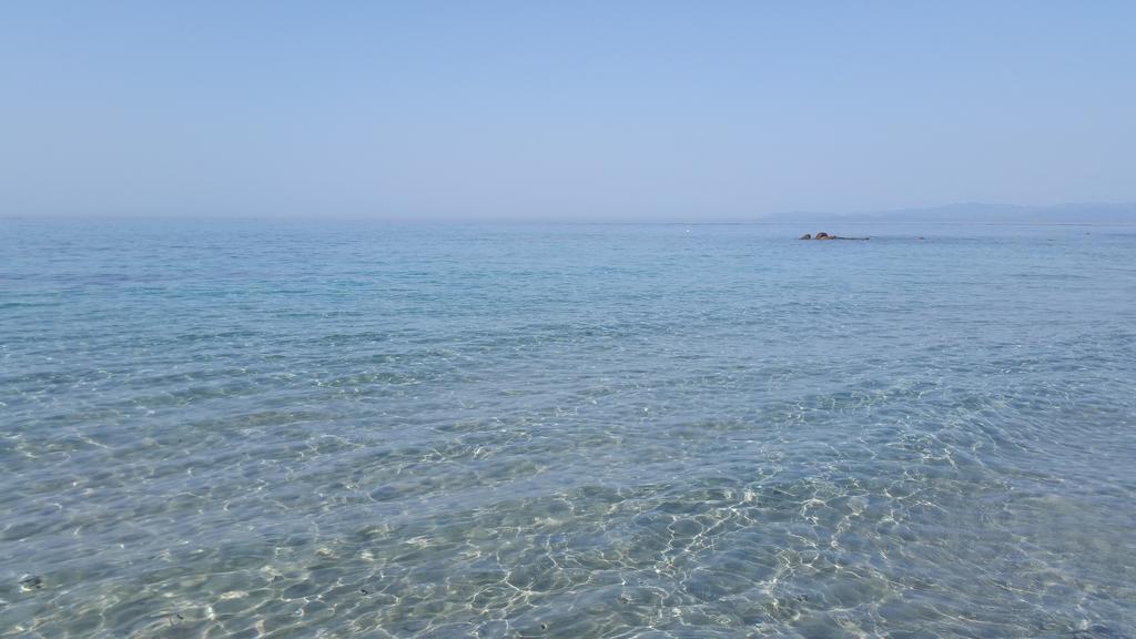 Artistika Golden Apartment Capitana Εξωτερικό φωτογραφία